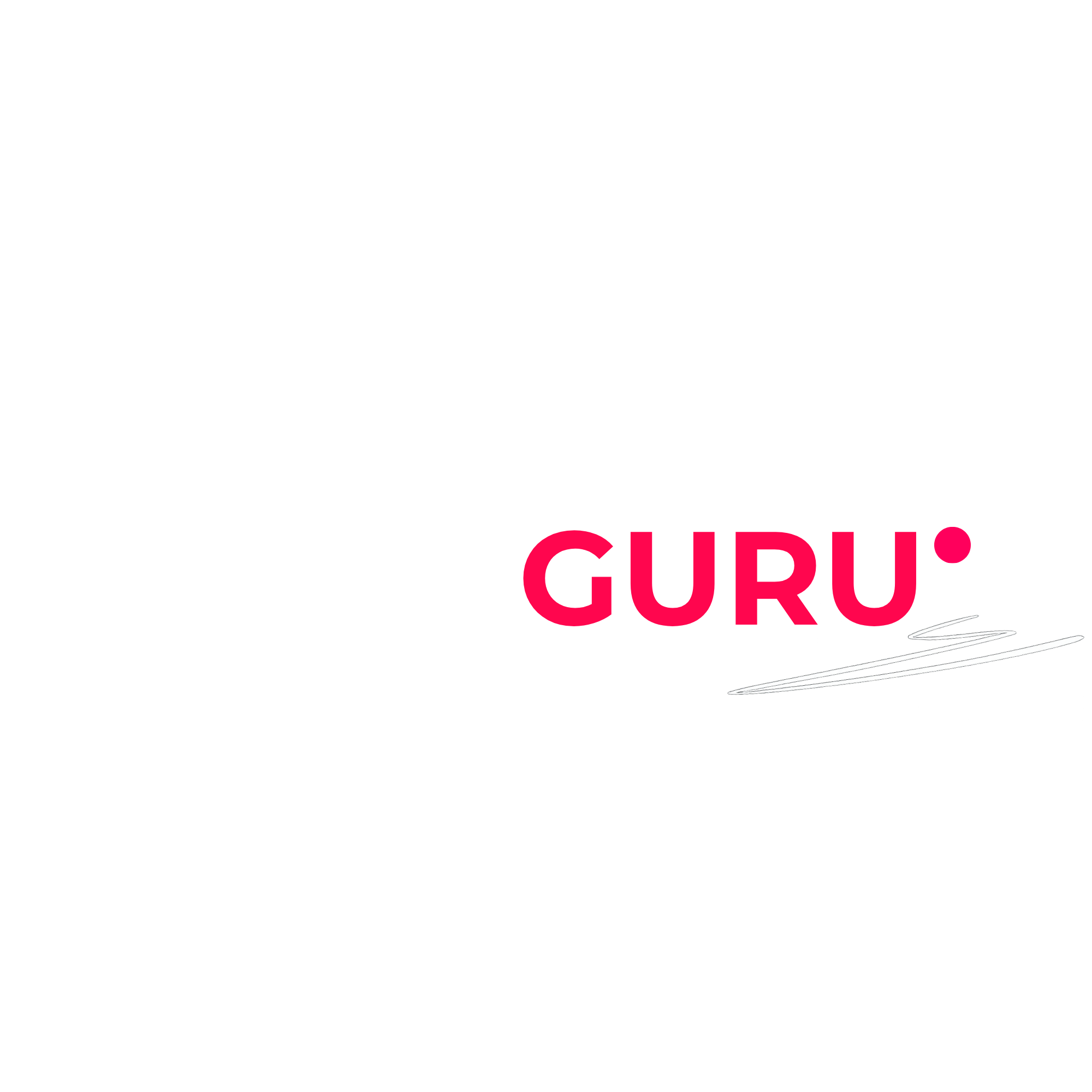 The MICE Guru